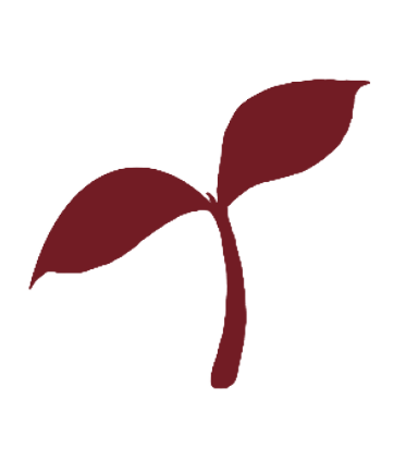 Star Icon